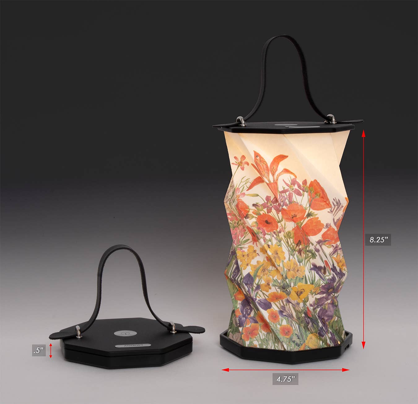 Modgy - Modgy Mary Vaux Walcott Botanical Watercolor Origami Lantern
