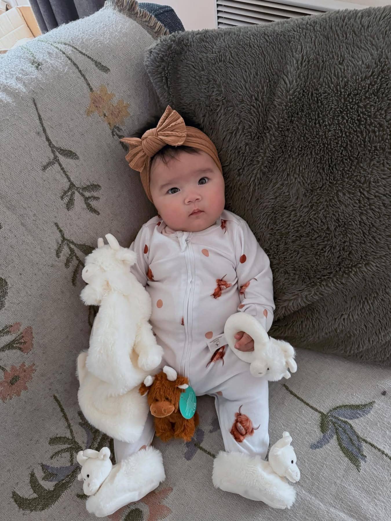 Jomanda Soft Toys & Accessories - Brown Highland Cow Plush Baby Soft Mini Toy - 11cm