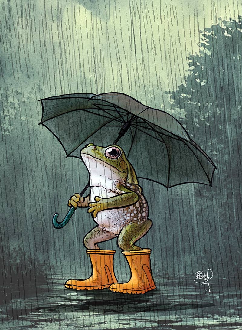 Shawn Braley Illustration - Galoshing #333 - vertical