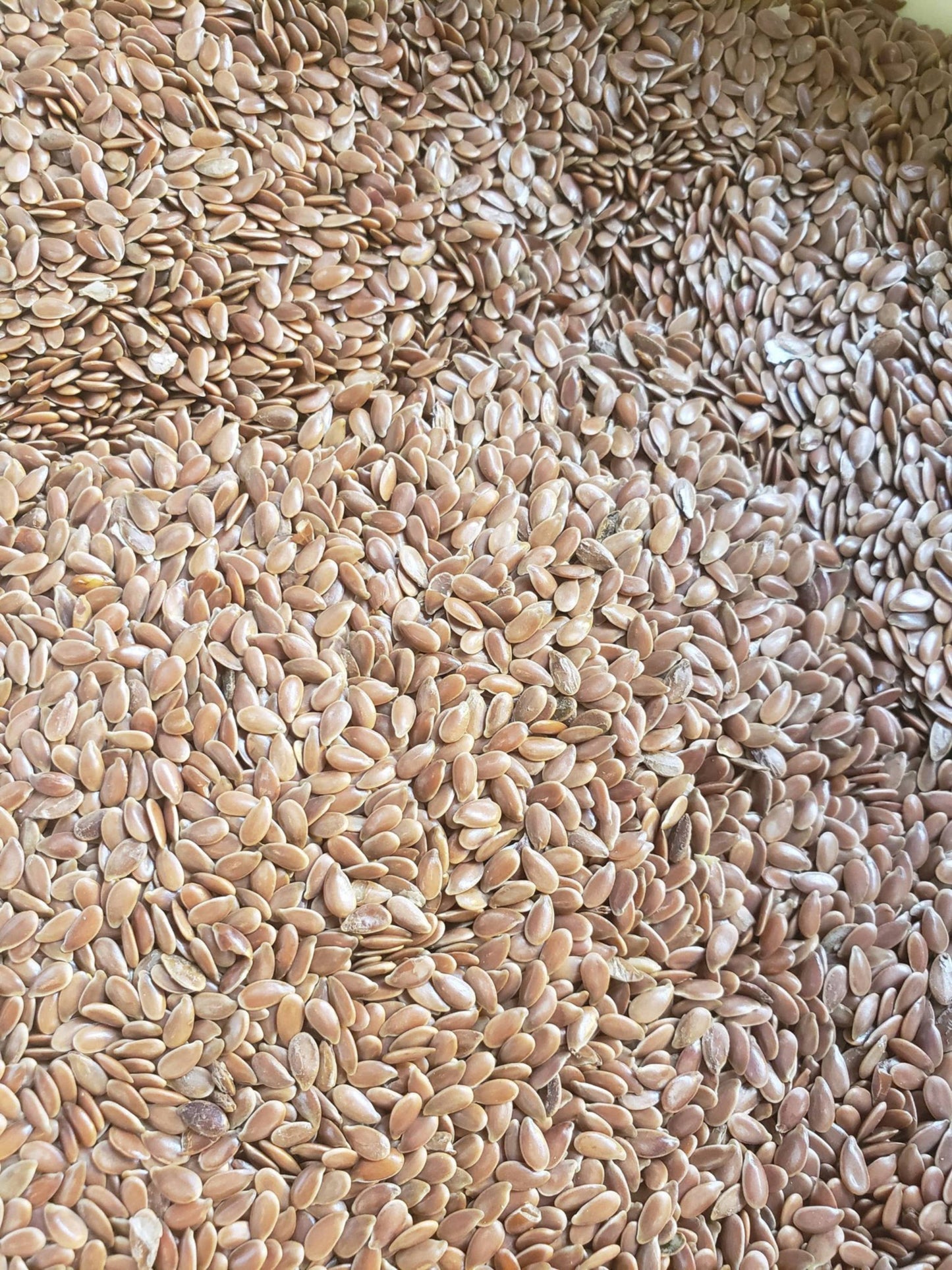 Organic Cotton Eye Pillow: Rice