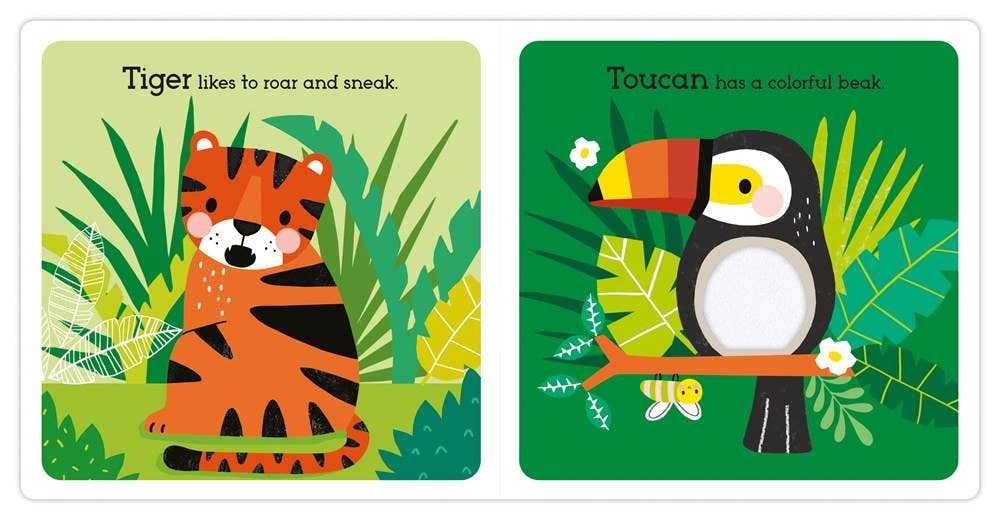 EDC Publishing - Read, Touch, Discover: Remarkable Rainforest