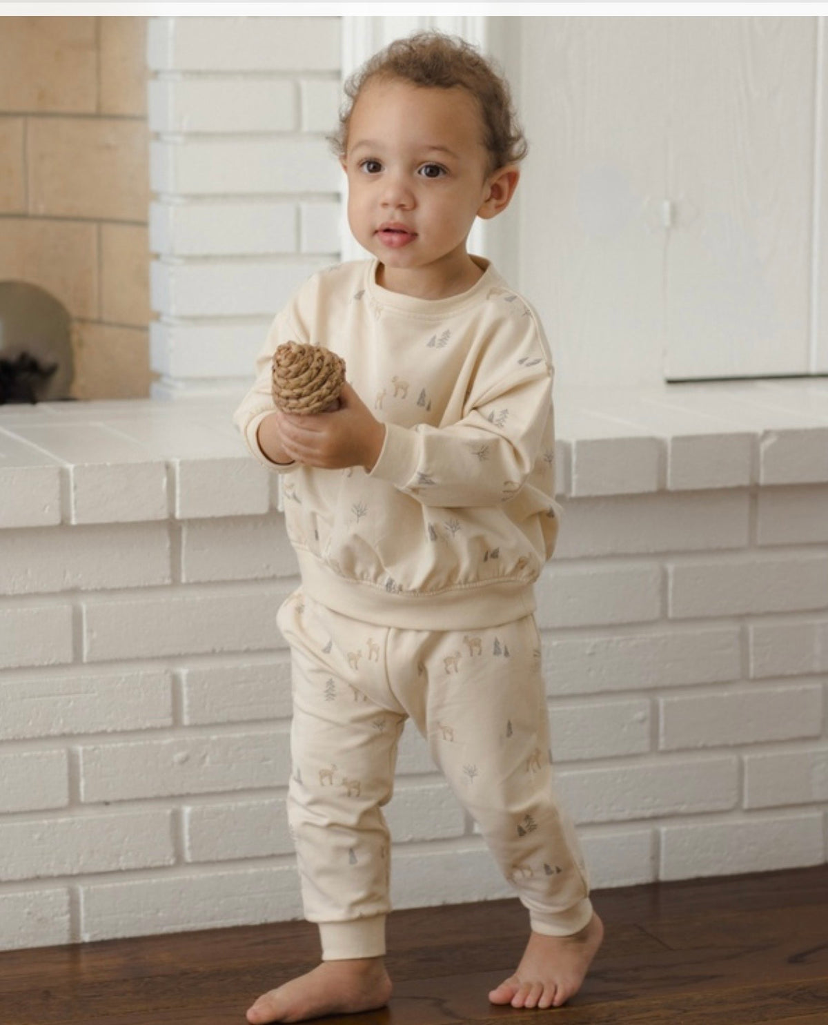 Deer Sweatshirt Set