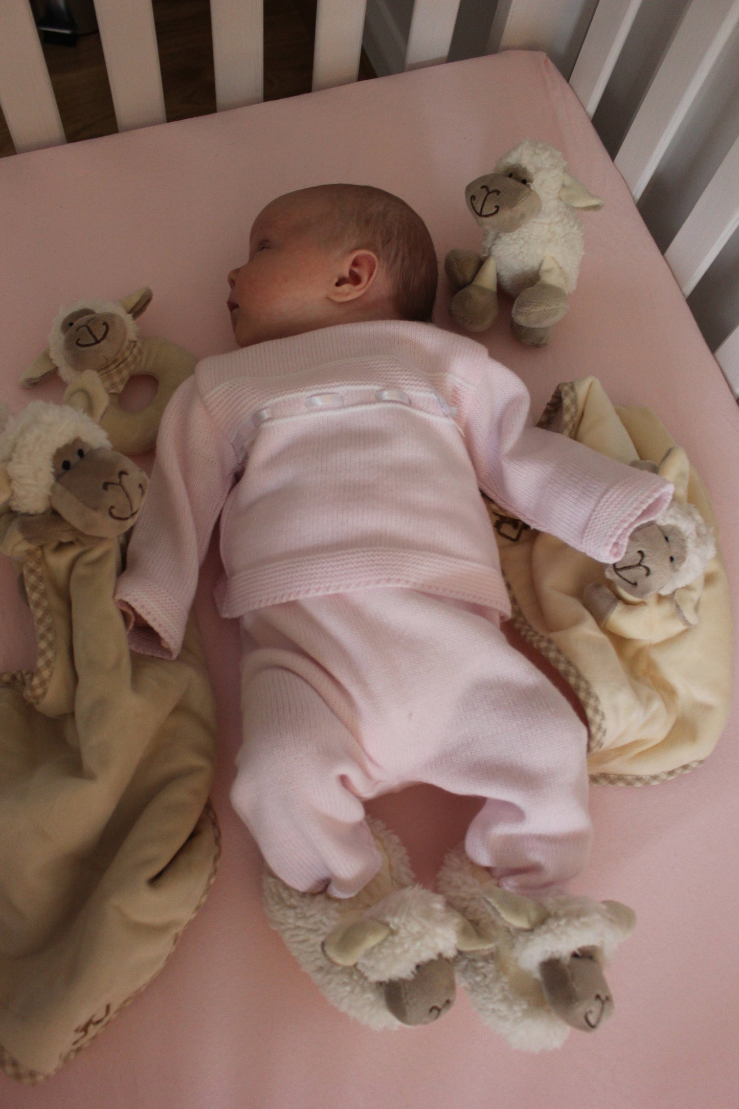 Jomanda Soft Toys & Accessories - Sheep Soft Plush Baby Slippers House Shoes, 0-6 months