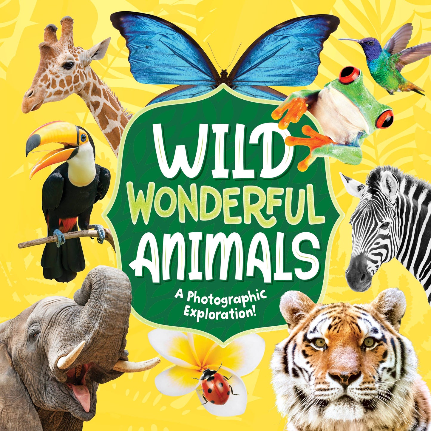 Kidsbooks Publishing - Wild Wonderful Animals