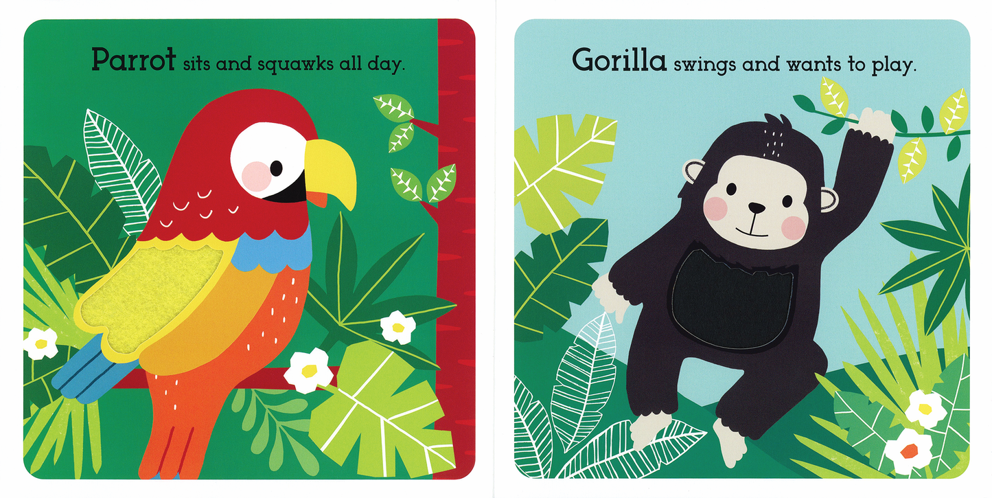 EDC Publishing - Read, Touch, Discover: Remarkable Rainforest