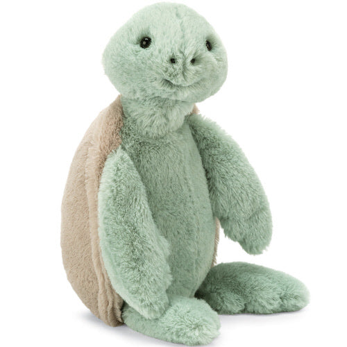 Bashful Turtle