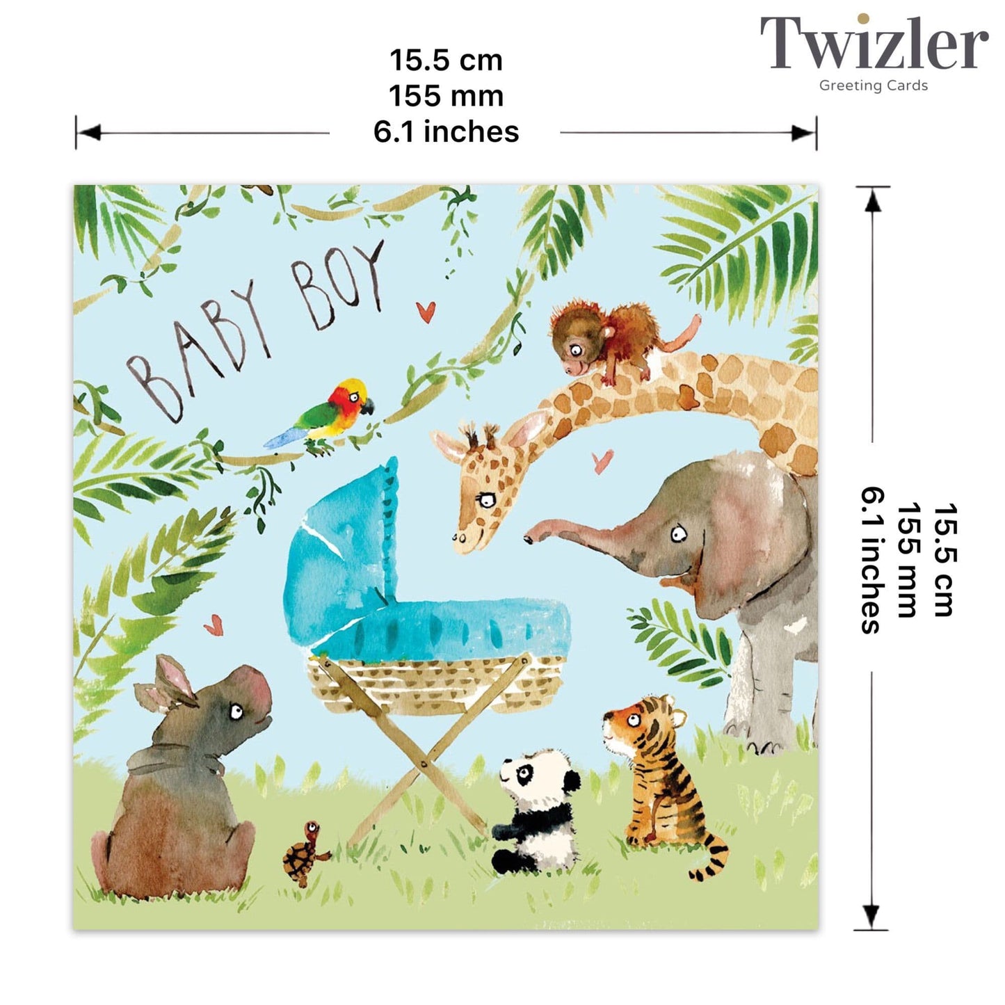 Twizler Ltd - New Baby Boy Card Jungle
