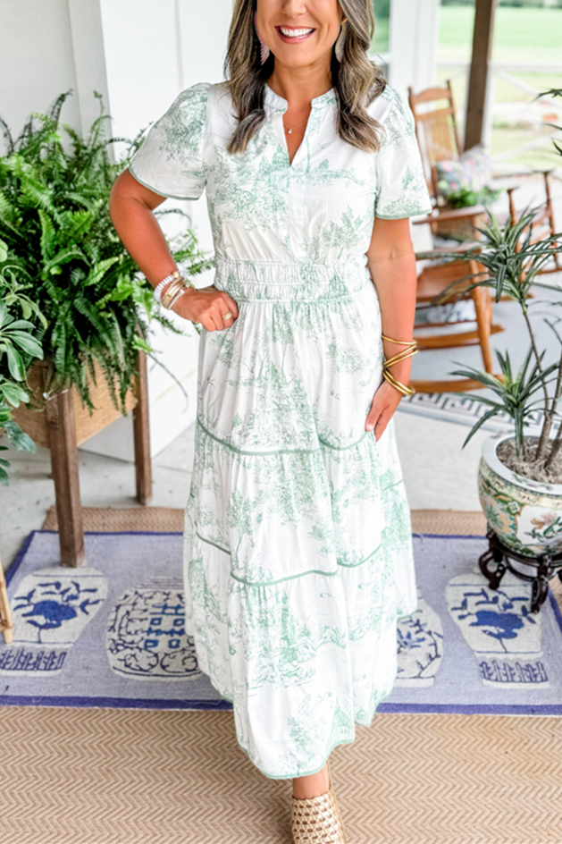 Rosa Clothing - Landscape porcelain Toile print flare maxi dress