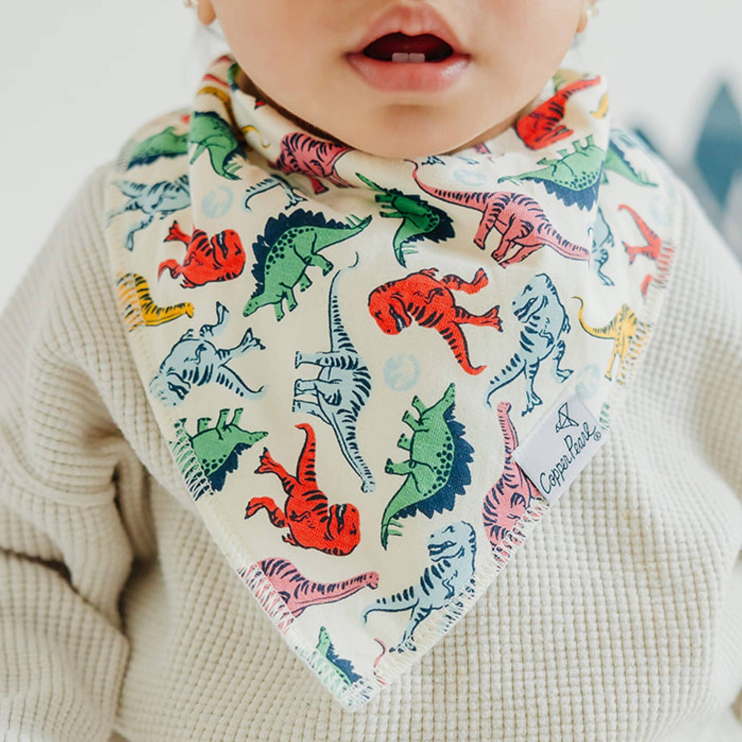 Copper Pearl - 4 Pack Baby Bandana Bibs - Jurassic Park