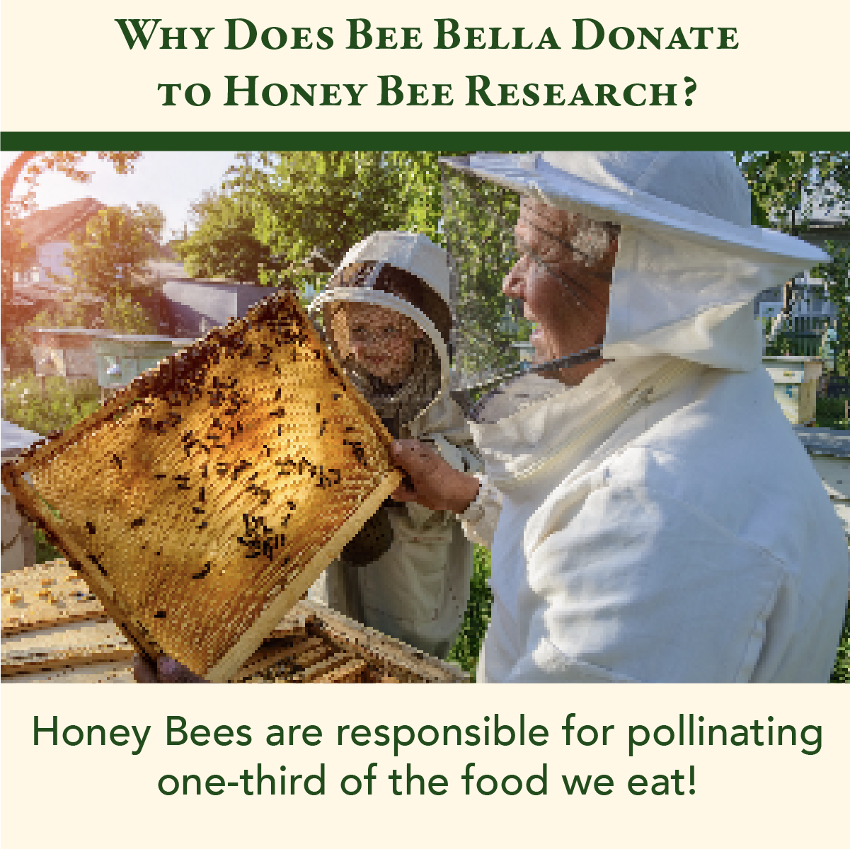 Bee Bella - Cherry Lip Balm