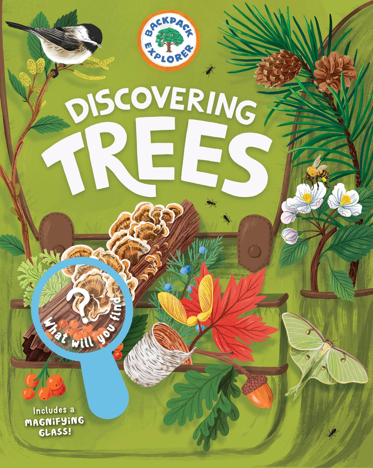 Hachette Book Group - Backpack Explorer: Discovering Trees