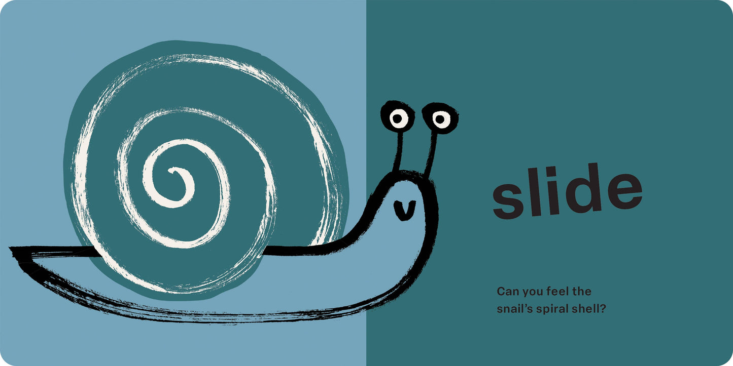 Hachette Book Group - Spring Street Touch and Feel: Bugs by Boxer Books