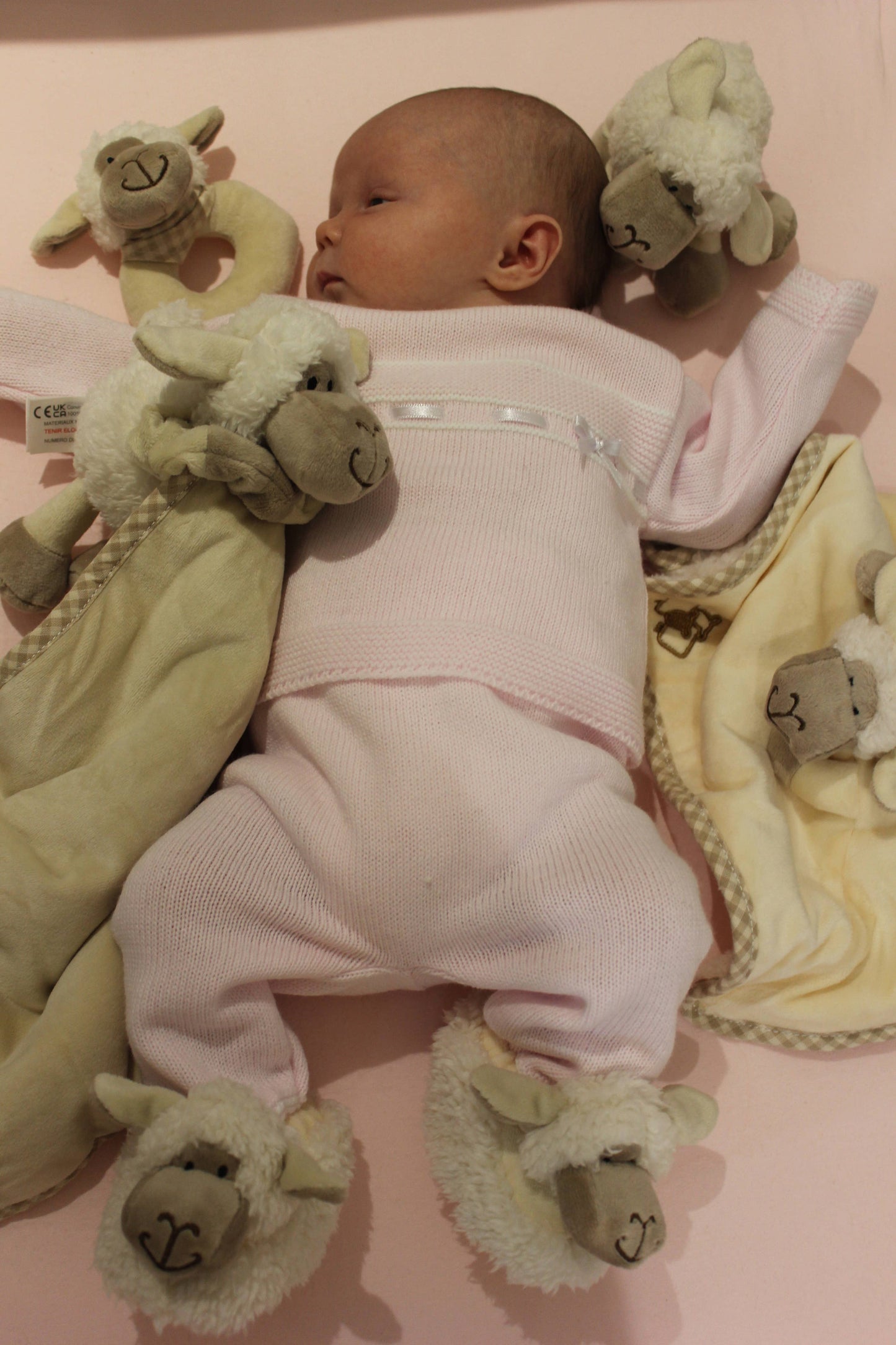 Jomanda Soft Toys & Accessories - Sheep Soft Plush Baby Slippers House Shoes, 0-6 months