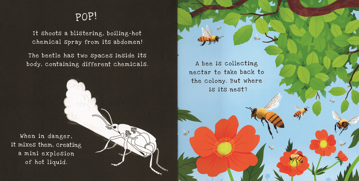 Shine-A-Light, Backyard Bugs