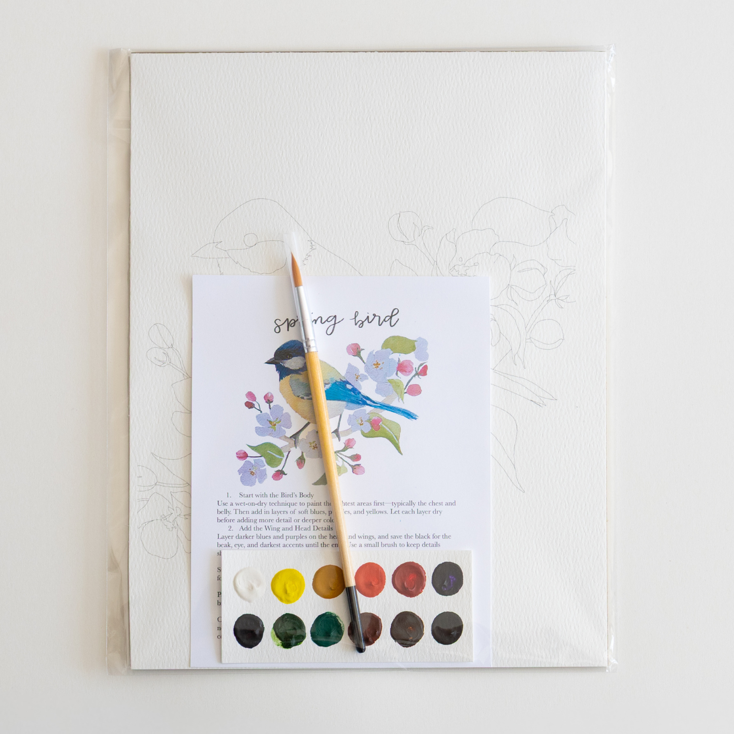 bailey rae studio - Spring bird - watercolor kit