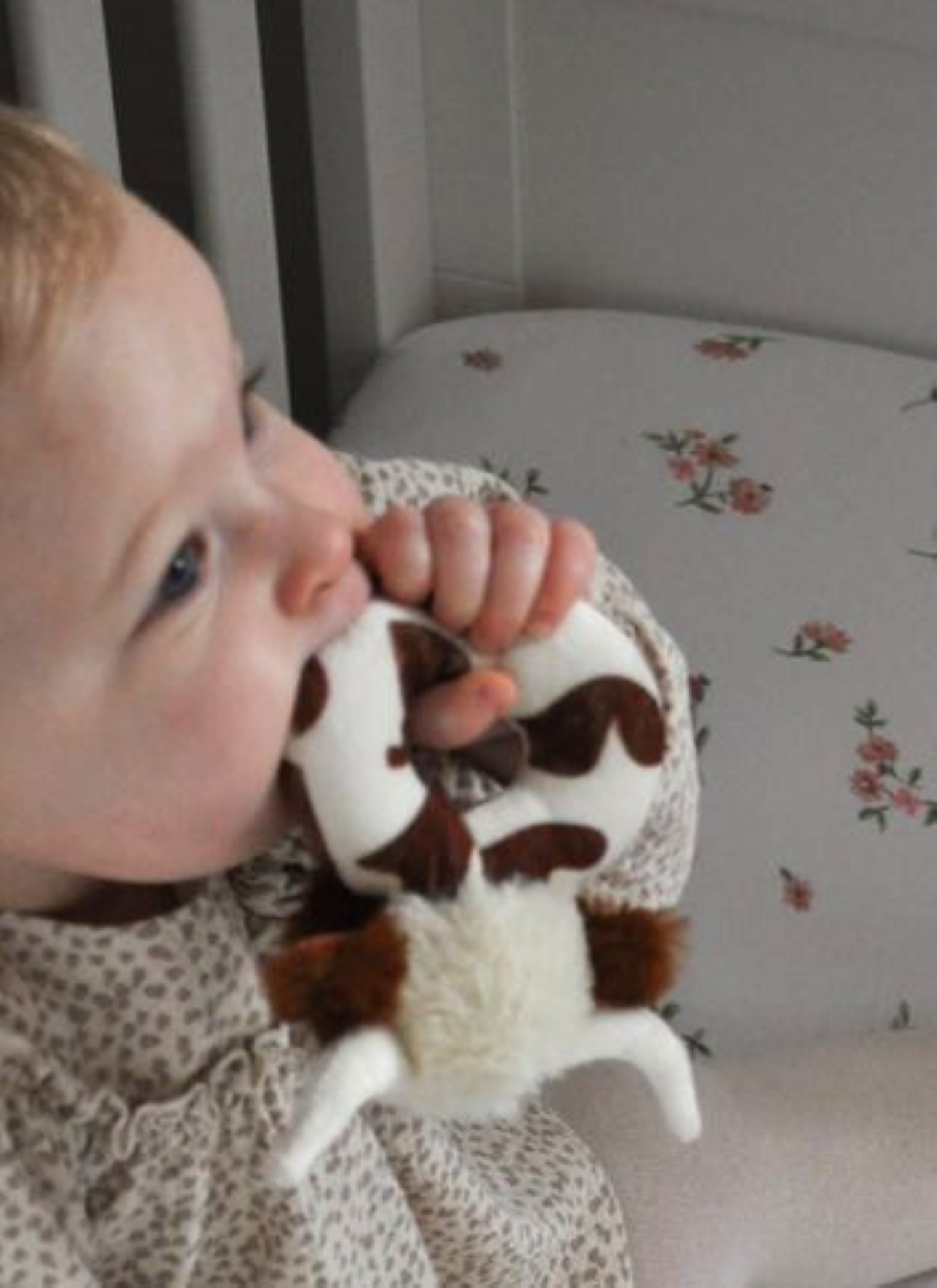 Jomanda Soft Toys & Accessories - Texas Longhorn Highland Brown Cow Baby Plush Rattle 10cm
