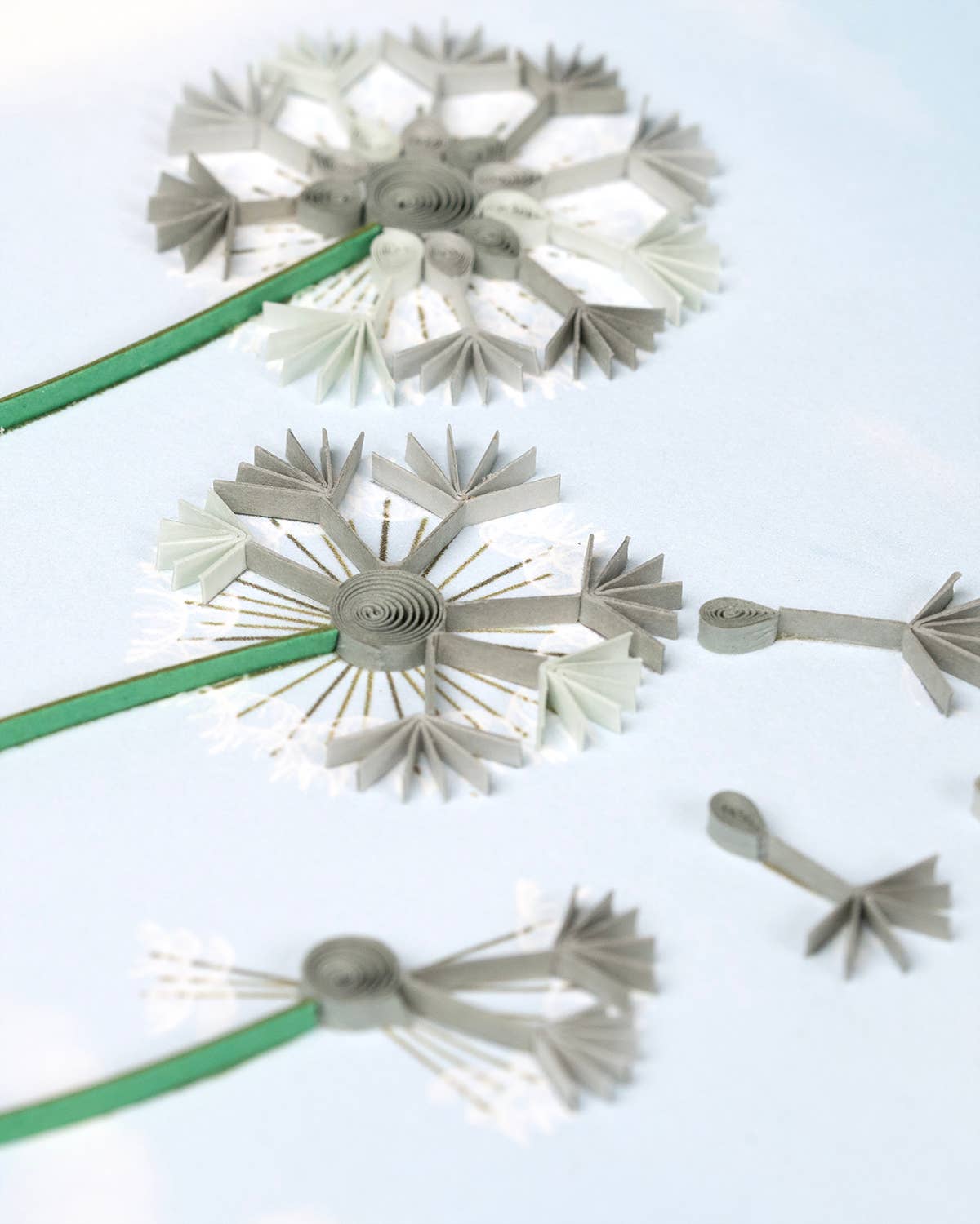 Quilling Card - Dandelions