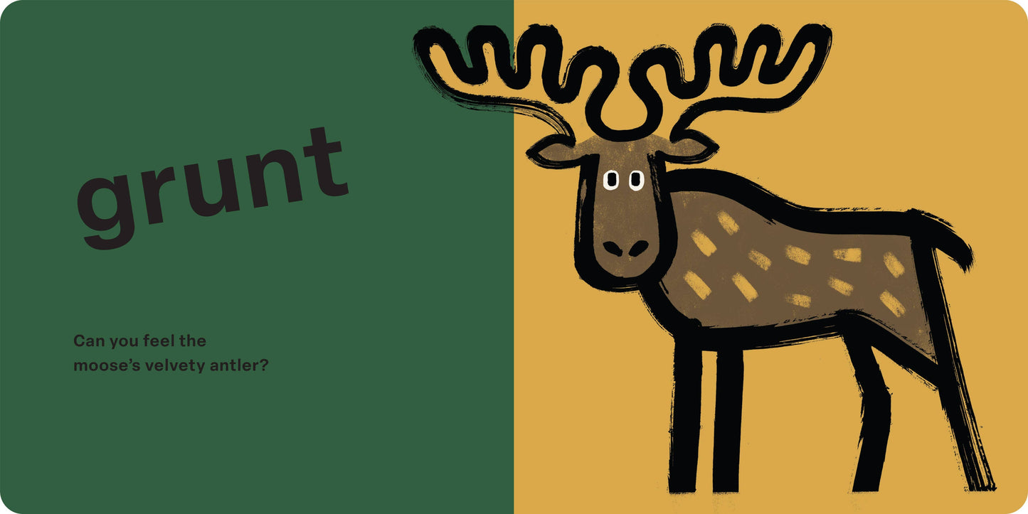 Hachette Book Group - Spring Street Touch and Feel: Forest by Boxer Books