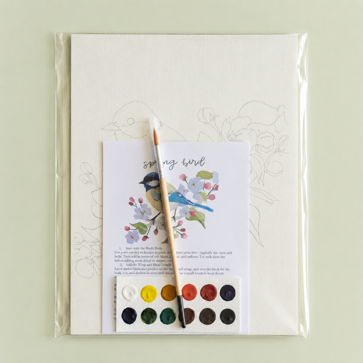 bailey rae studio - Spring bird - watercolor kit