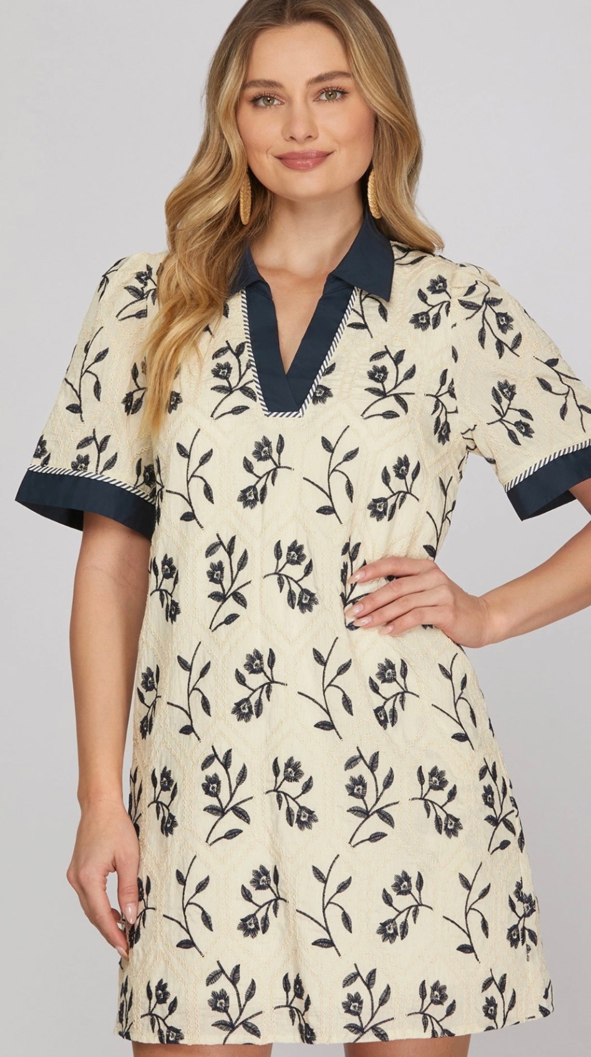 Woven Embroidery Mini Dress
