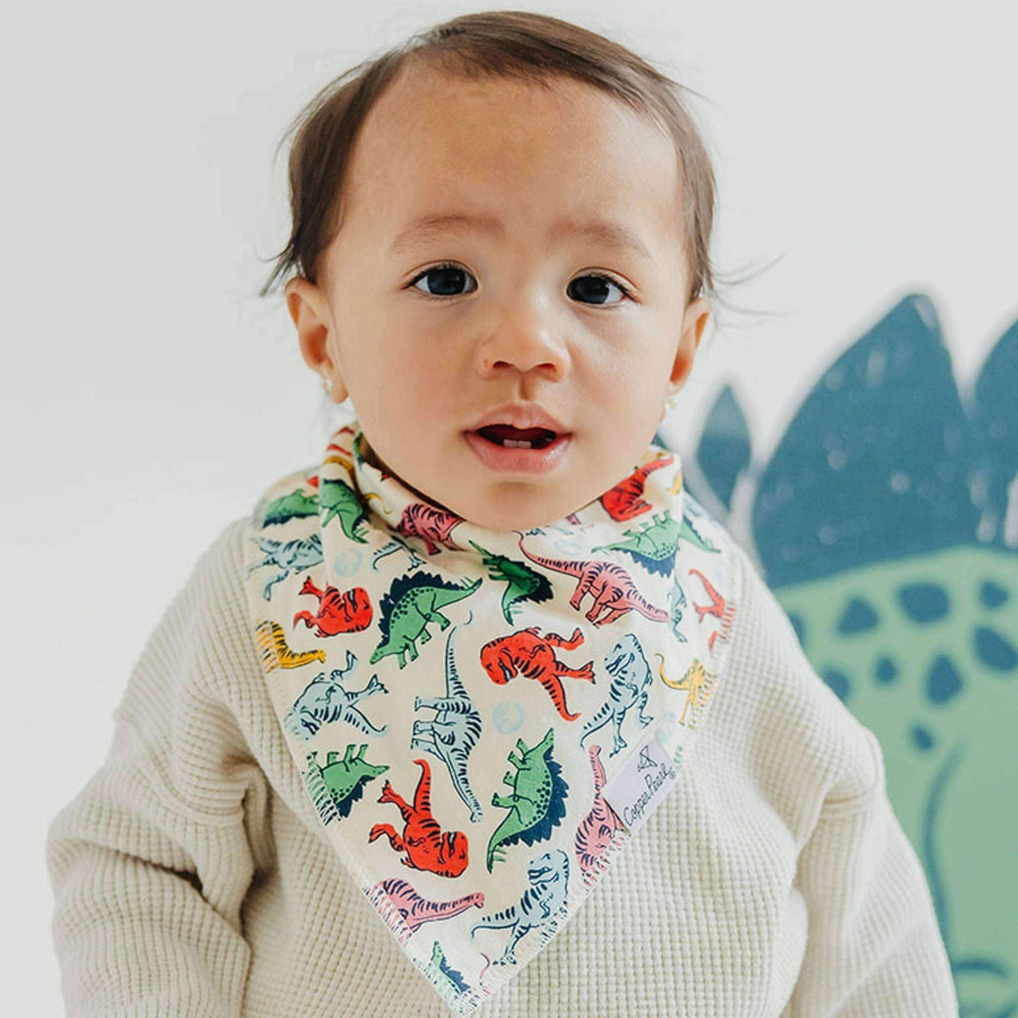 Copper Pearl - 4 Pack Baby Bandana Bibs - Jurassic Park
