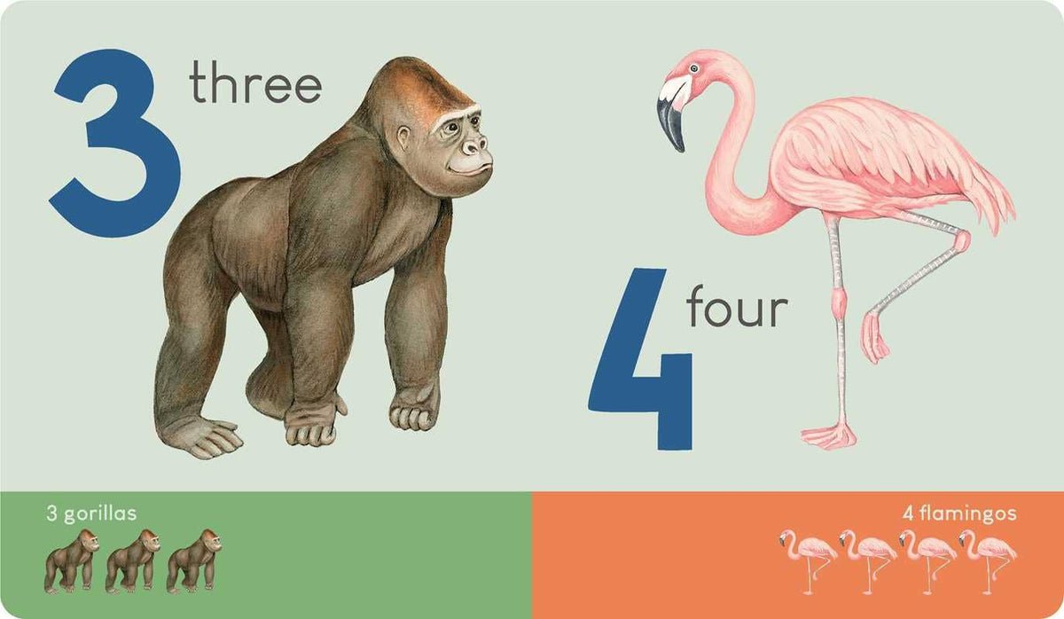 Simon & Schuster - Carry Me: Animal Numbers by