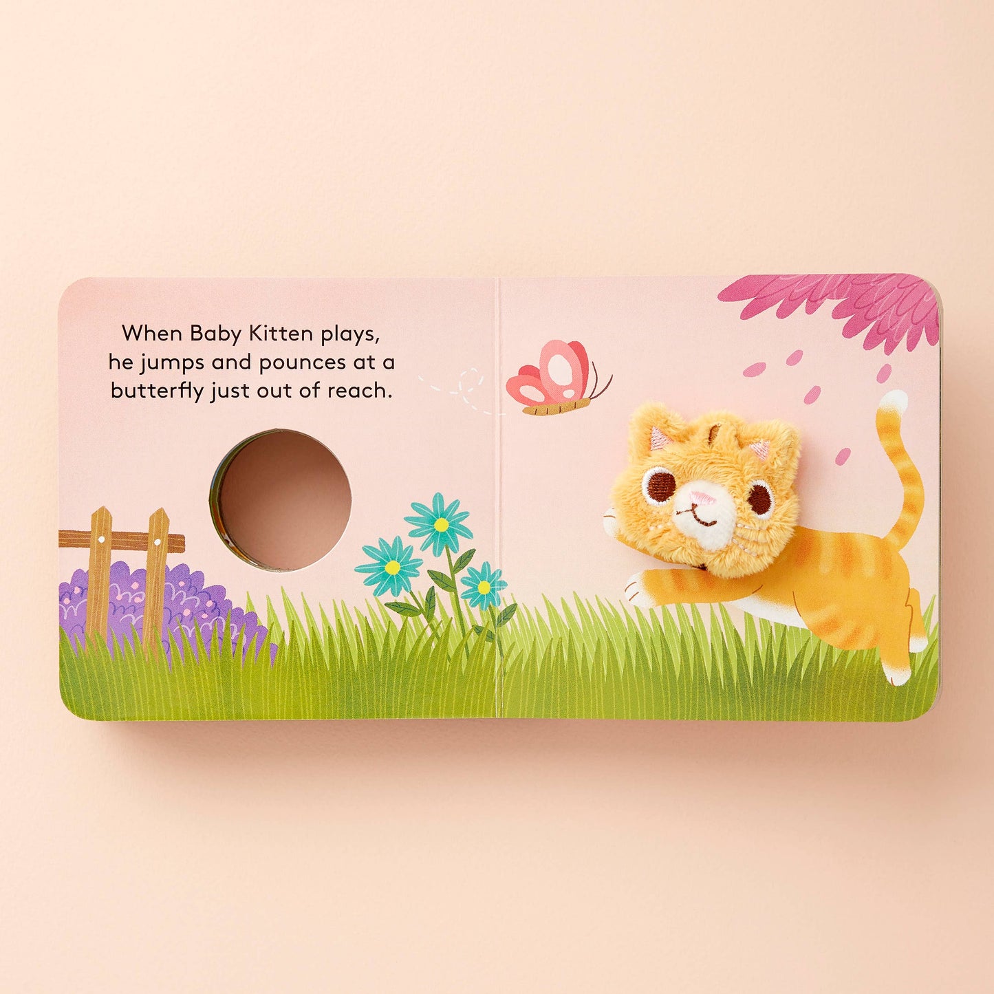 Chronicle Books - Baby Kitten