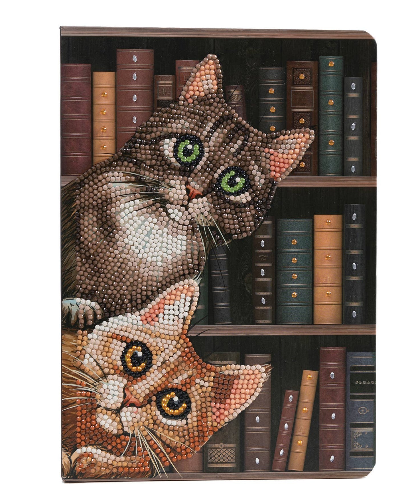 Outset Games and Cobble Hill Puzzles - Crystal Art Notebook Kit: Cats in the Library