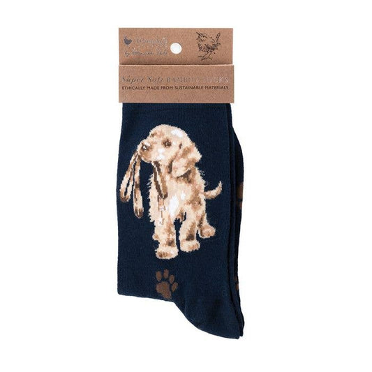 Wrendale Designs - Dog Sock - Hopeful - Navy