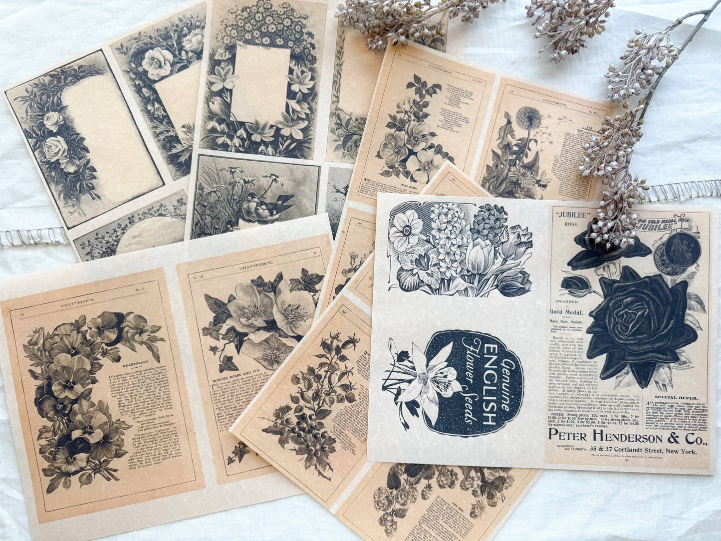 A House of Books - Junk Journal Page Pack- Floral