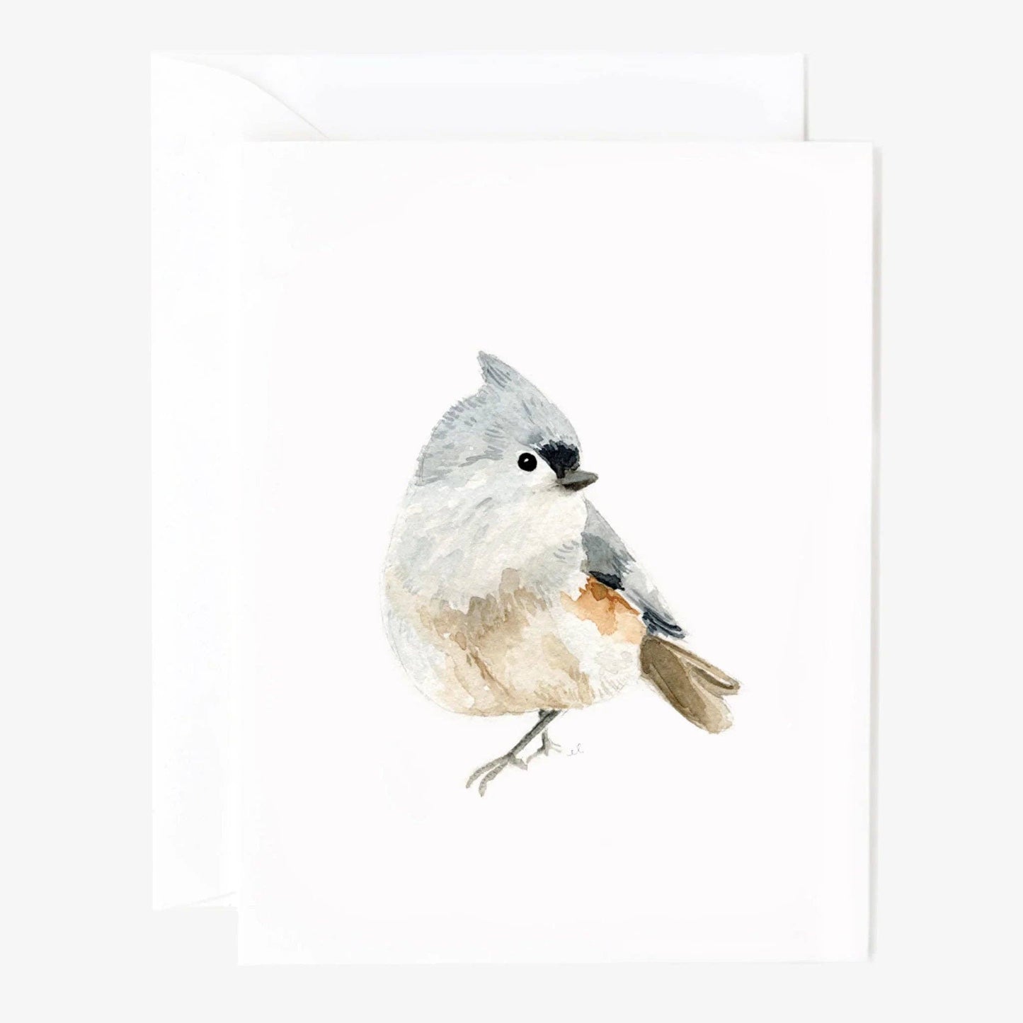emily lex studio - Birds assorted notecard set