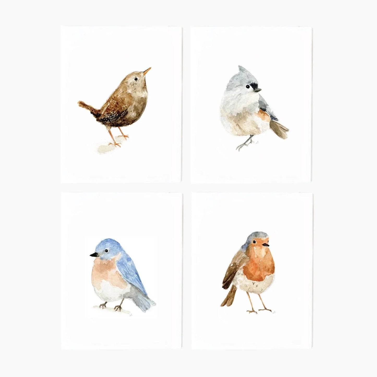 emily lex studio - Birds assorted notecard set