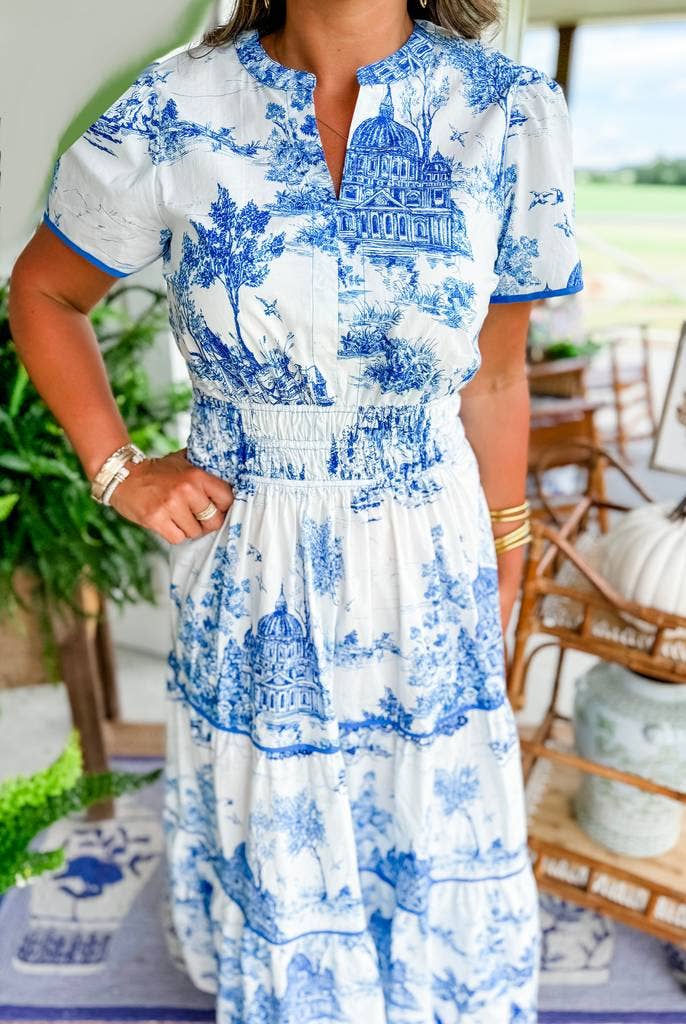 Rosa Clothing - Landscape porcelain Toile print flare maxi dress