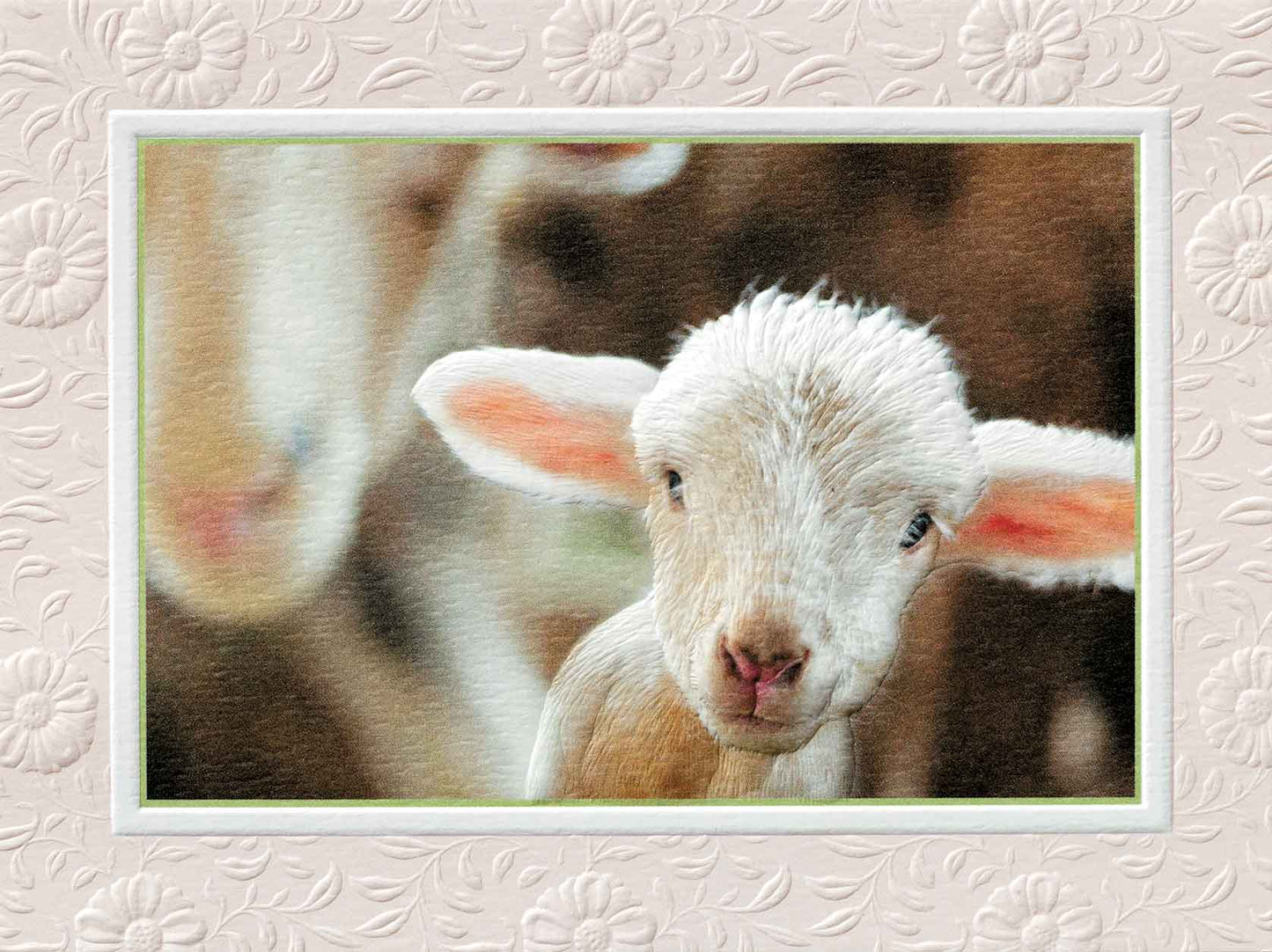 Pumpernickel Press - Little Lamb (BDIN) - Petite