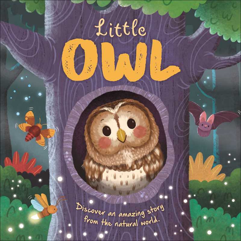 Simon & Schuster - Nature Stories: Little Owl-Discover an Amazing Story from the Natural World by IglooBooks