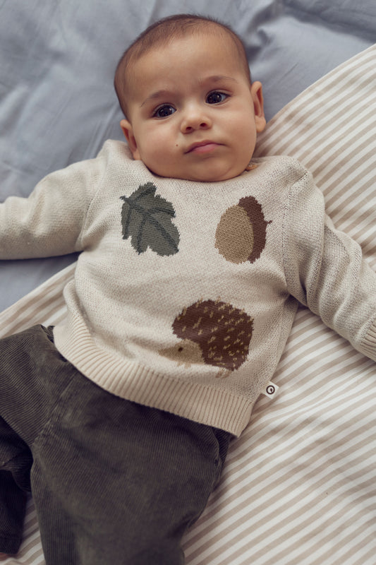 Acorn Sweater