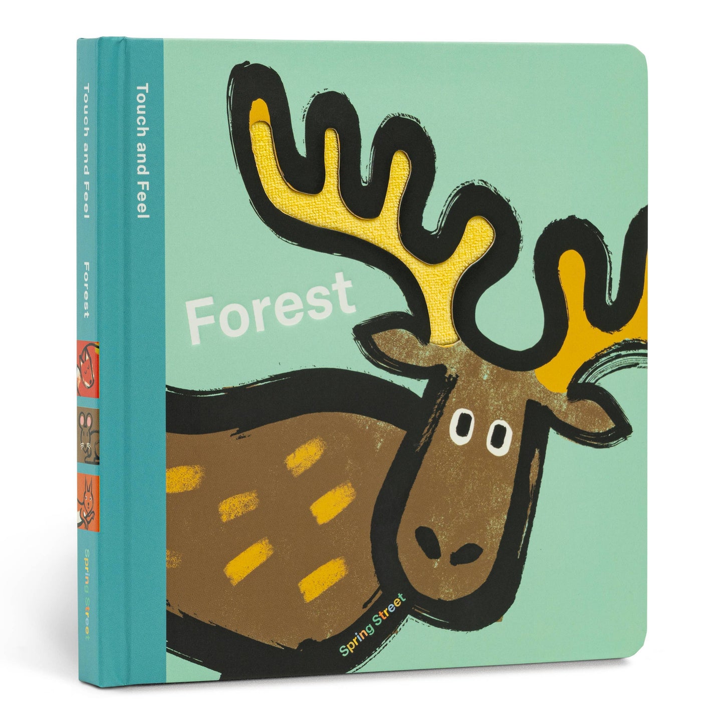 Hachette Book Group - Spring Street Touch and Feel: Forest by Boxer Books