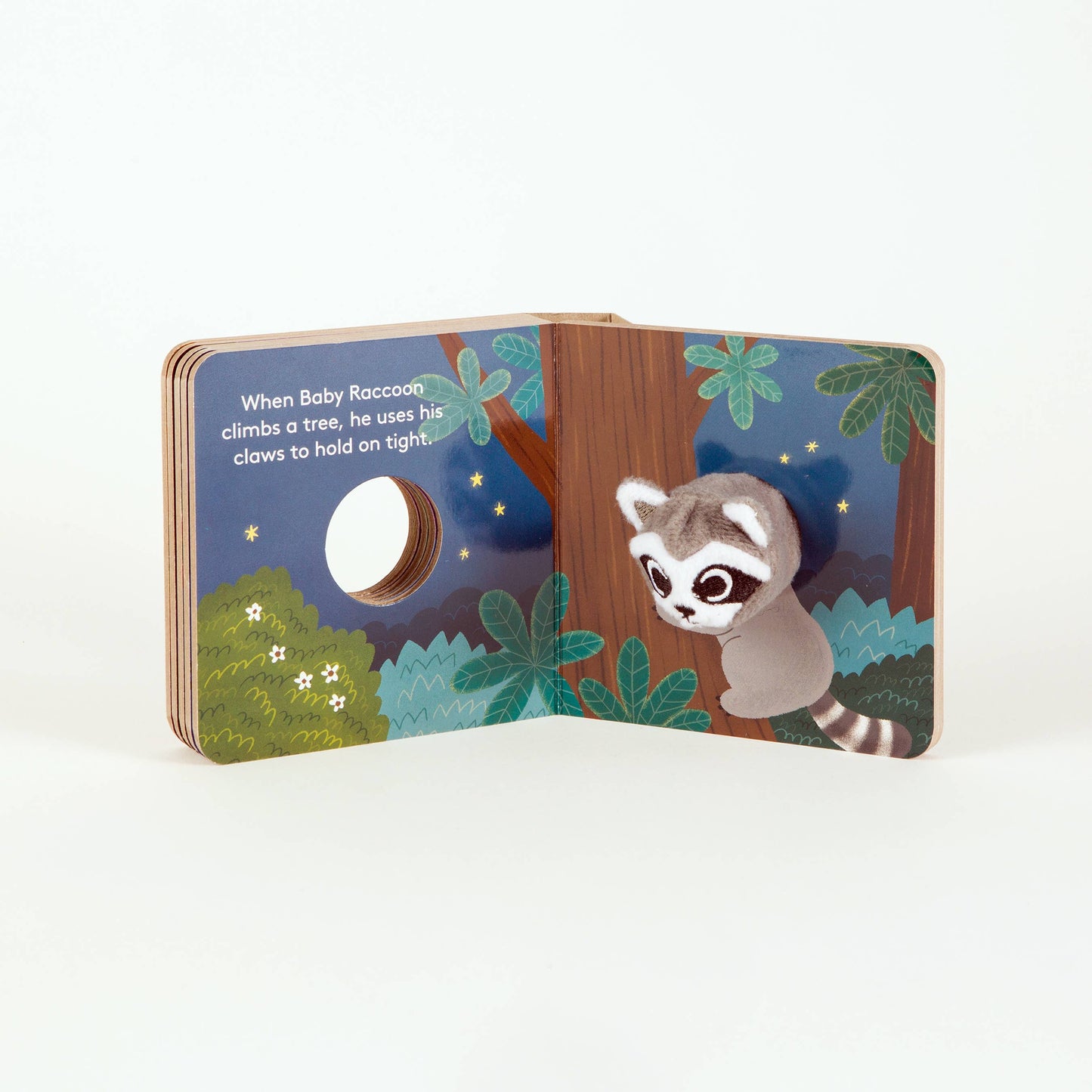 Chronicle Books - Baby Raccoon
