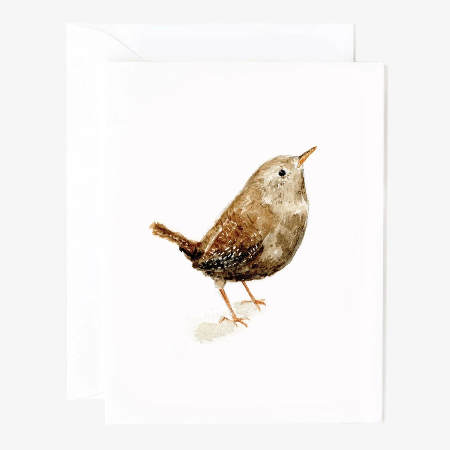 emily lex studio - Birds assorted notecard set