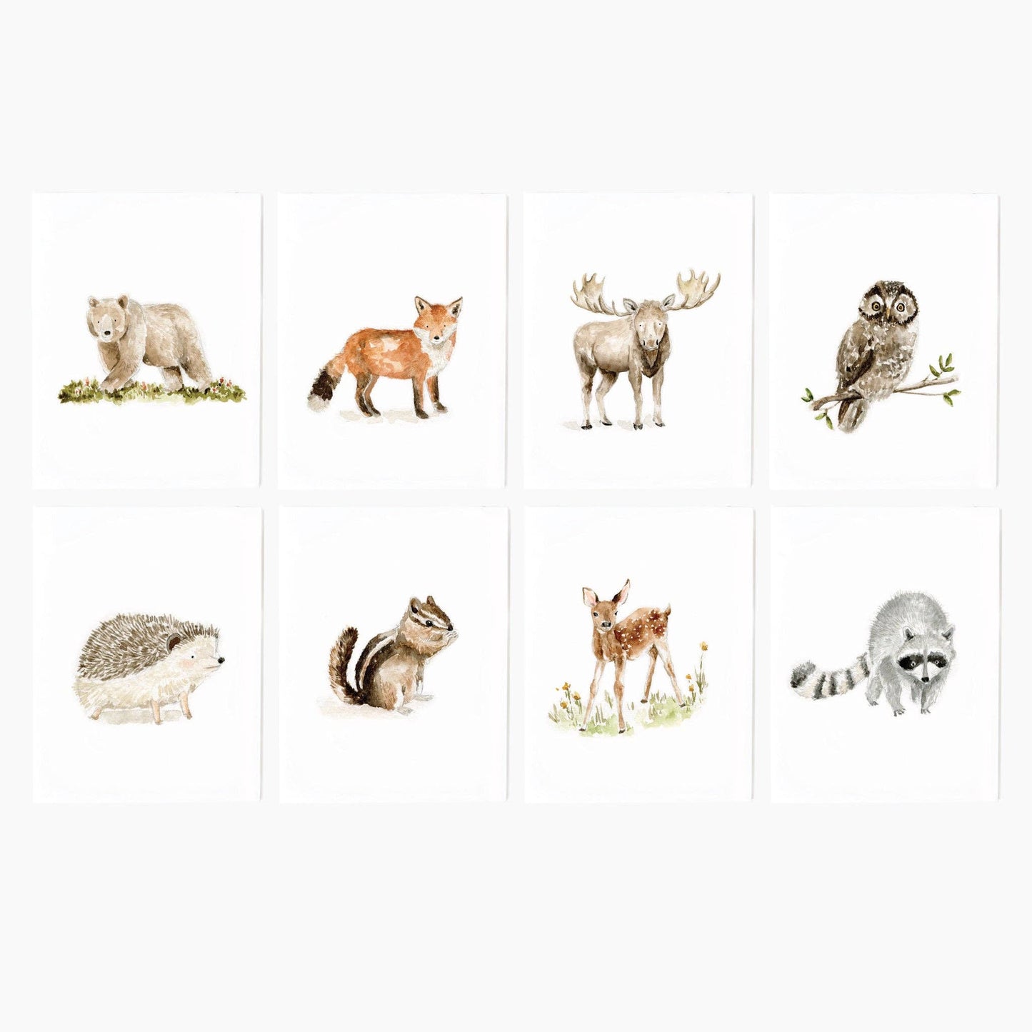 emily lex studio - Woodland animals assorted notecard set