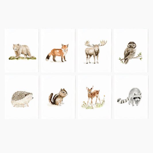emily lex studio - Woodland animals assorted notecard set