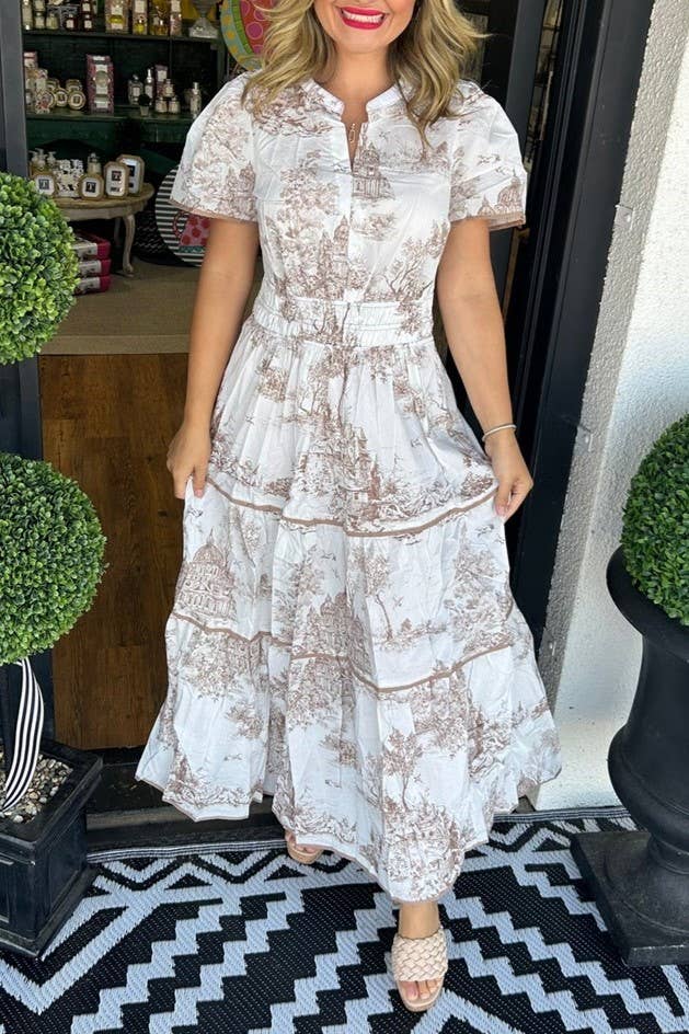 Rosa Clothing - Landscape porcelain Toile print flare maxi dress