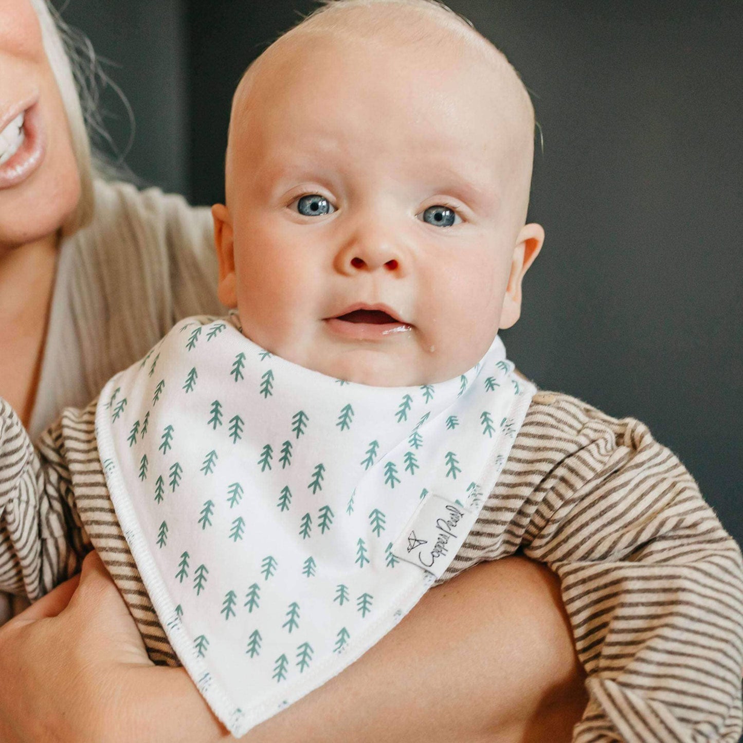 Copper Pearl - 4 Pack Baby Bandana Bibs - Atwood