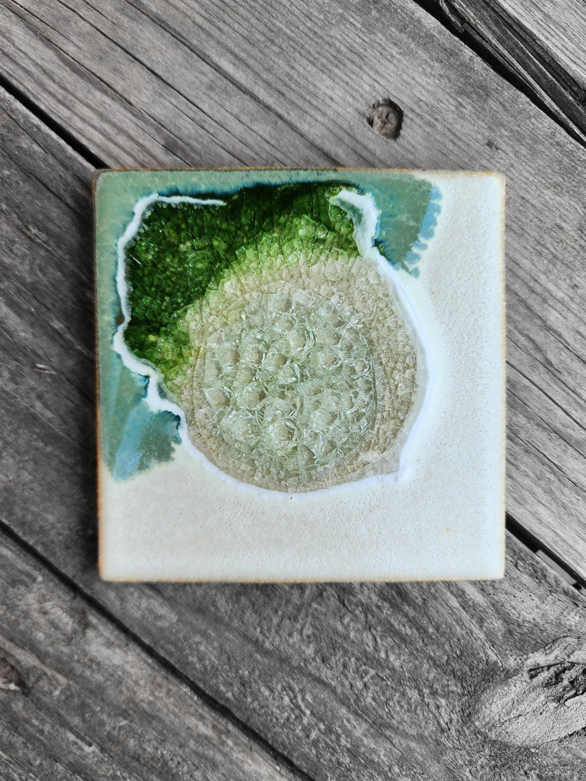Dock 6 Pottery - Square Coaster - Fern - Individual Coaster