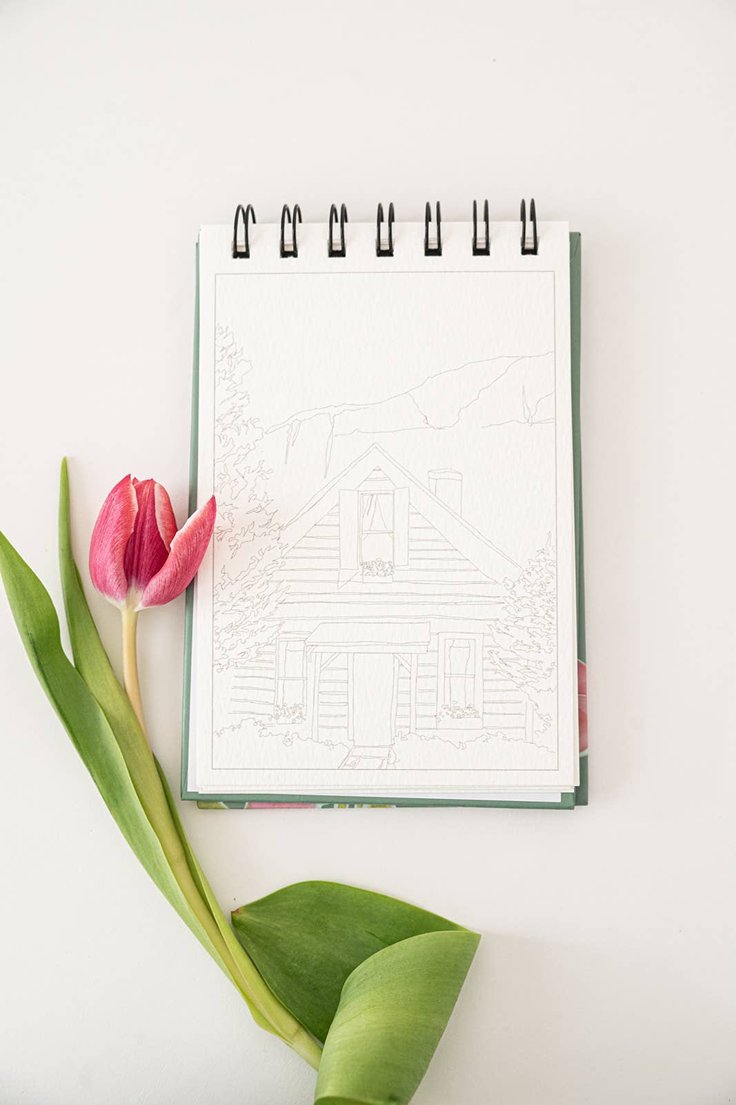 bailey rae studio - A little bit of summer - mini watercoloring book