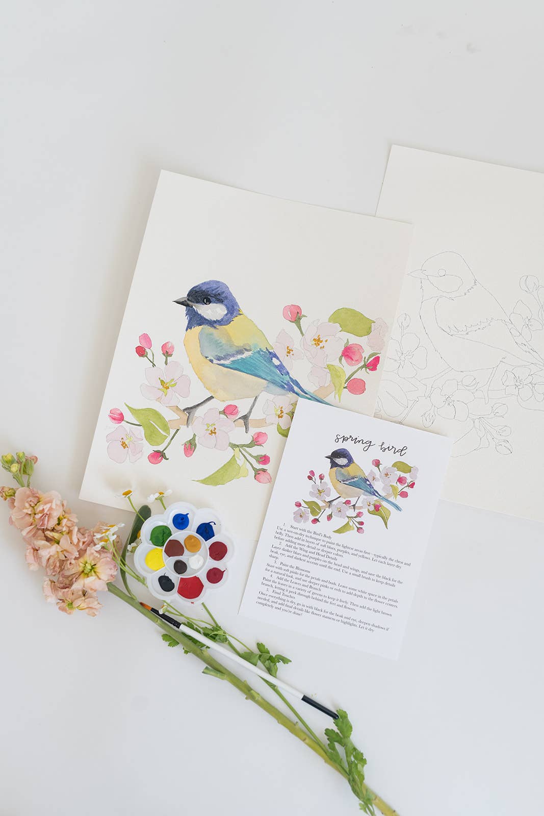 bailey rae studio - Spring bird - watercolor kit
