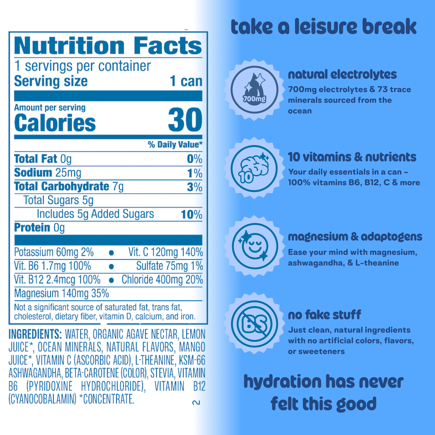 Leisure Hydration - Leisure Hydration Electrolyte Wild Blueberry (16 oz x 12-Pack)