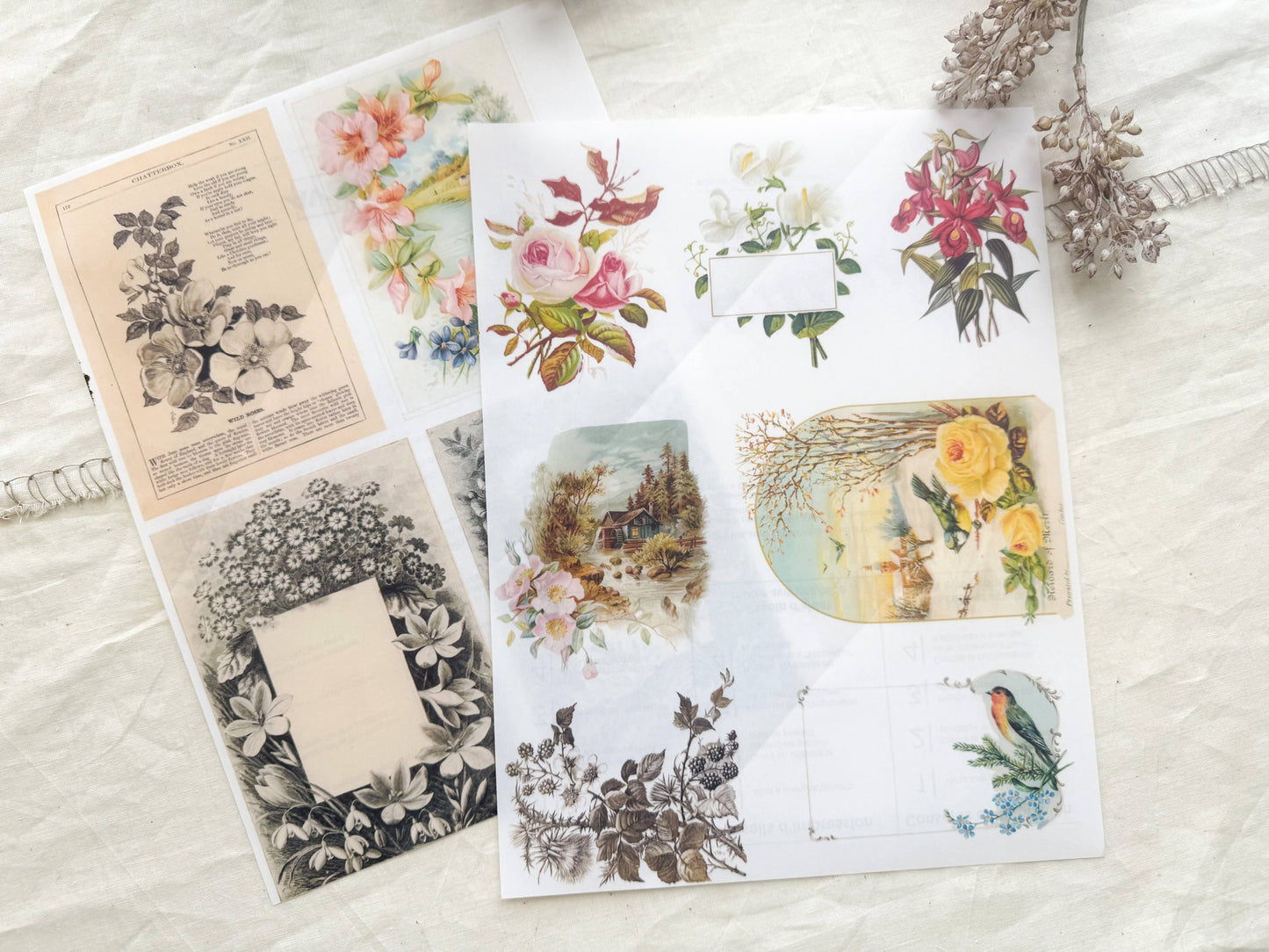 A House of Books - Junk Journal Page Pack- Floral
