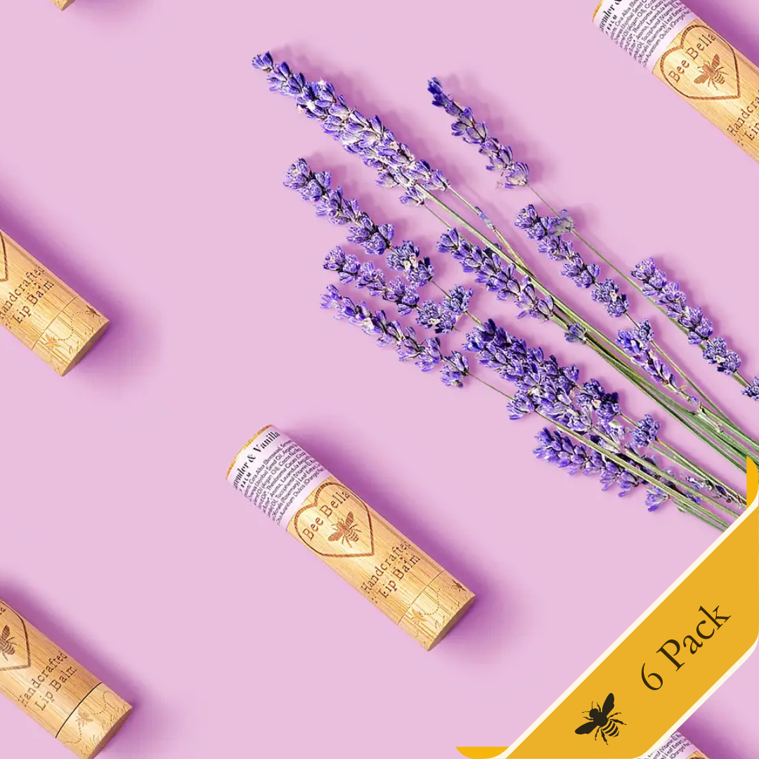 Bee Bella - Lavender Vanilla Lip Balm | 6-Pack