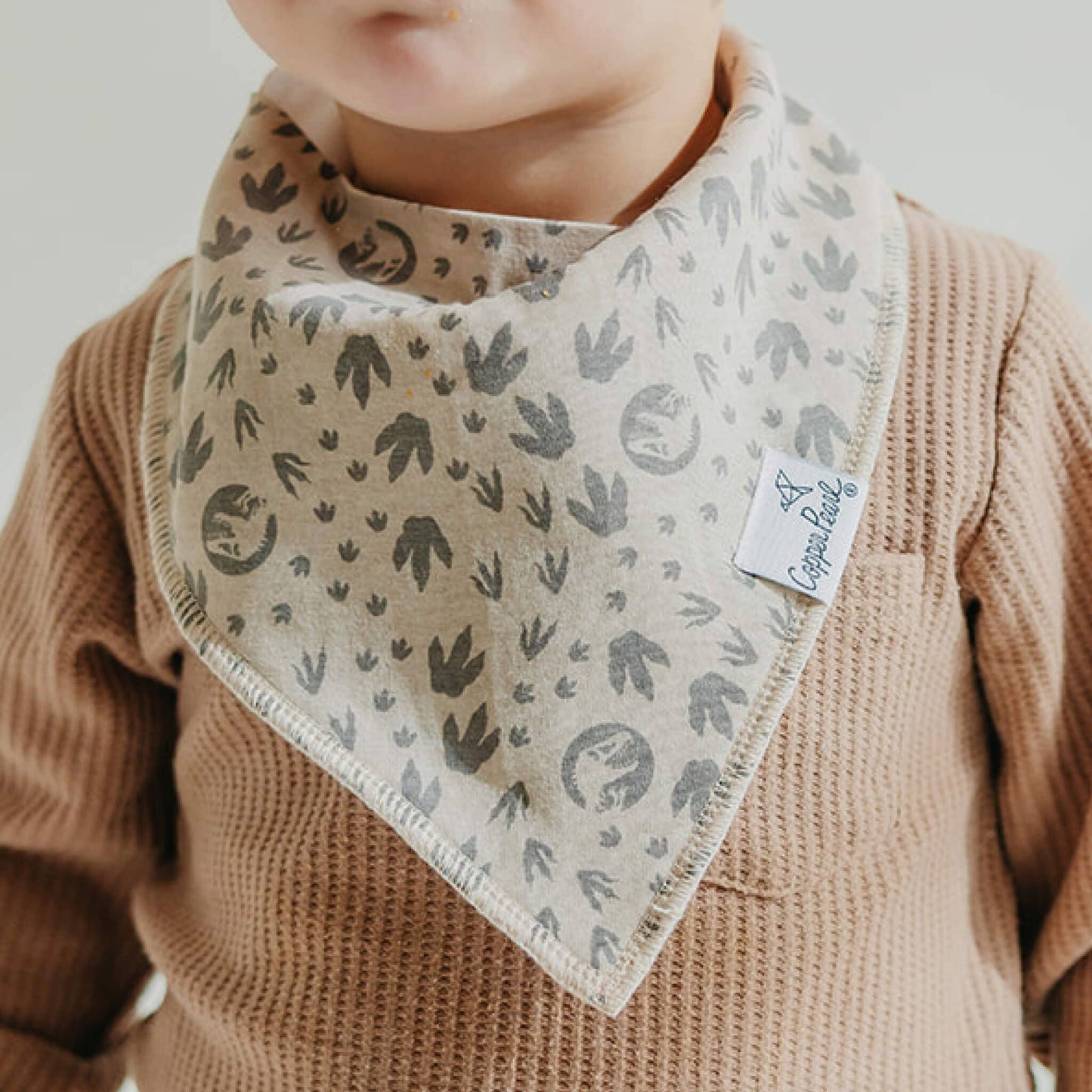 Copper Pearl - 4 Pack Baby Bandana Bibs - Jurassic Park